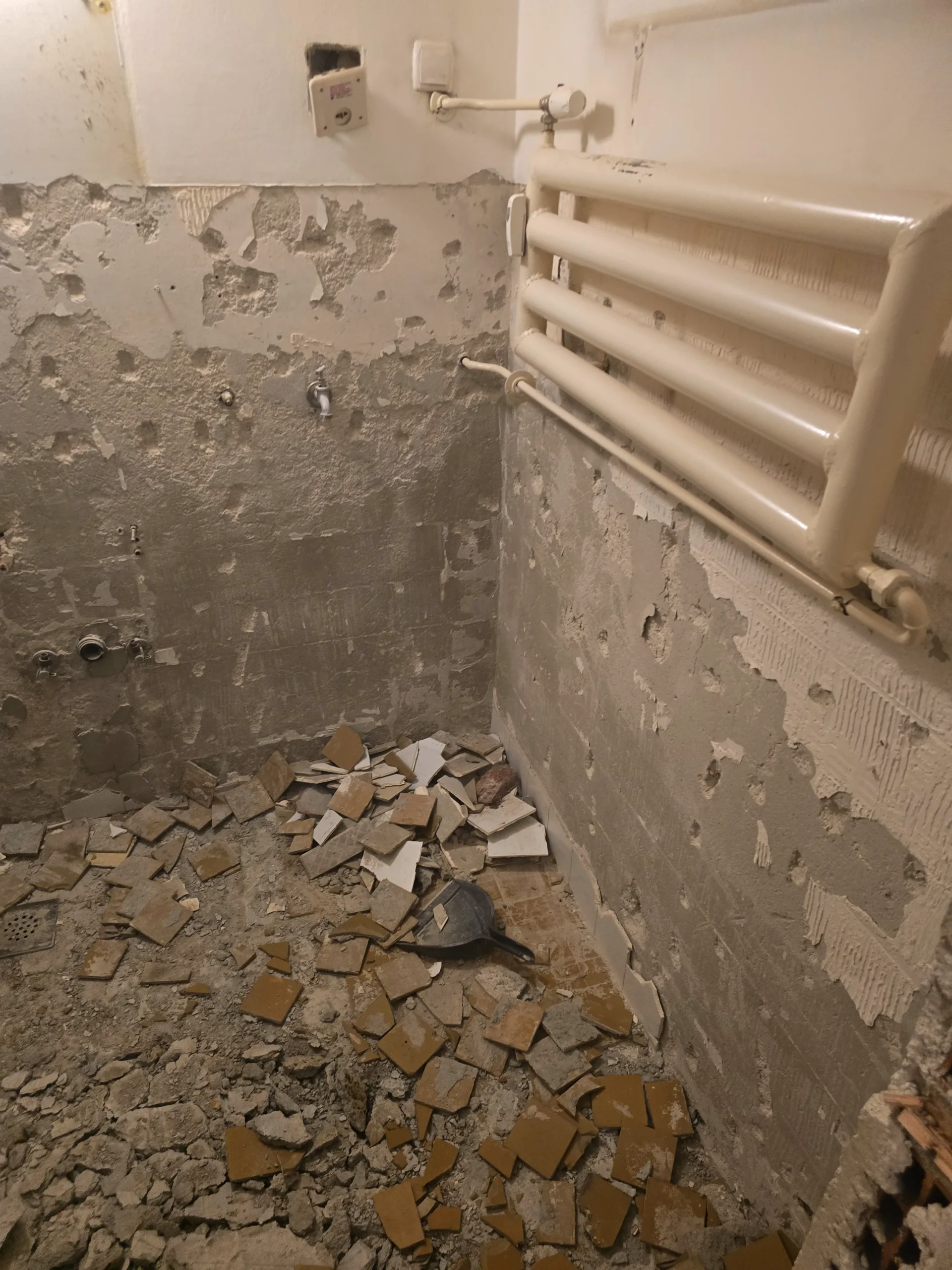 Slika-111-2024-12-10